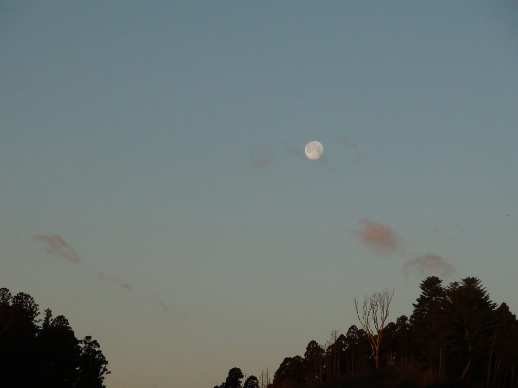 東野圭吾『白夜行』の中の清張